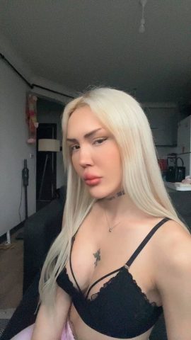 photo_3_2026-03-13_10-42-47